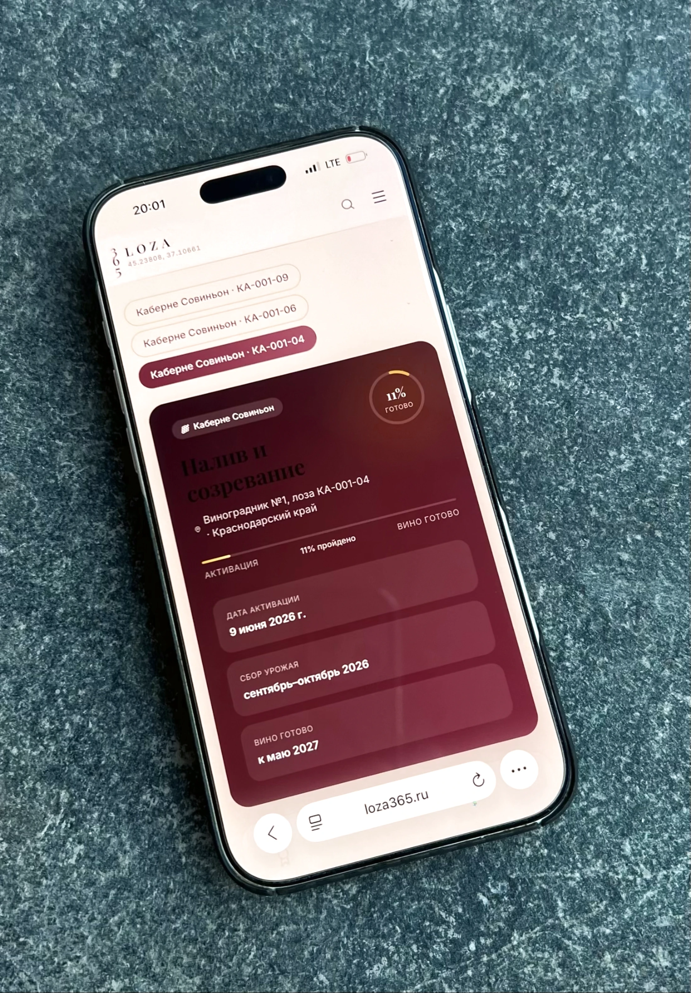 Смартфон с личным кабинетом Loza365: фотоотчёт и прогресс созревания лозы